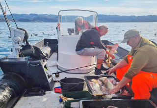 Tre uomini su una barca a Jarfjord, Svezia, puliscono e ordinano pesce appena pescato su un lago calmo.