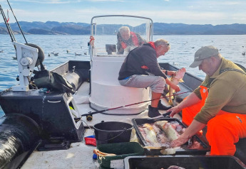 Tre personer på en båd i Jarfjord, Sverige, renser og sorterer friskfanget fisk ved en rolig sø.