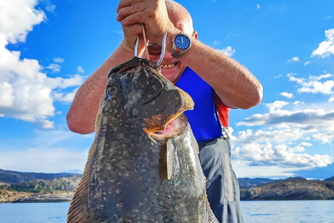 Uomo tiene un grande pesce pescato davanti a sé, lago e montagne sullo sfondo, cielo blu e nuvole.