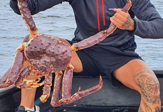 Een persoon houdt een grote koningskrab vast op een boot bij het water bij '7 person holiday home in Jarfjord', Zweden.