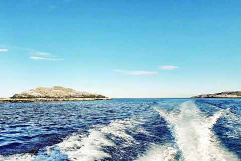 Blick vom Boot auf das Meer und eine kleine Insel nahe dem Chalet '7 person holiday home in JARFJORD' in Schweden.
