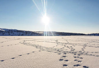 Besneeuwd landschap met voetsporen, zon en heuvels nabij een chalet in Jarfjord, Zweden.