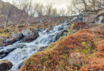 Strøm af vand løber ned ad stenede bakker omgivet af nøgne træer nær et sommerhus i Jarfjord, Sverige.