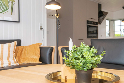 Lichte woonkamer in het gerenoveerde strandhuis in Denemarken met zwarte banken en planten.