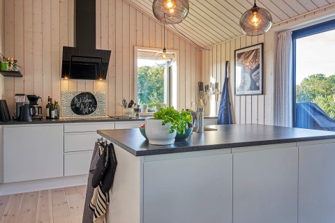 Cocina moderna en una casa de vacaciones en Aakirkeby, Dinamarca, con paredes de madera clara y ventanas grandes.