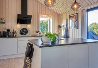 Cuisine moderne dans une maison de vacances à Aakirkeby, Danemark, avec des murs en bois clair et de grandes fenêtres.