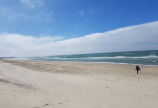 En fredelig strand ved kysten i Hjørring, Danmark, set fra feriehuset med én person nær vandkanten.