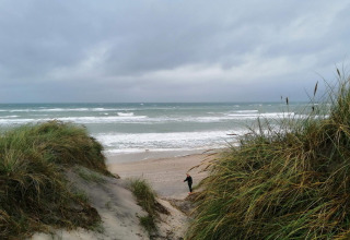 View from a dune near the 7 person holiday home in Hjørring, Denmark, overlooking the windy sea shore.