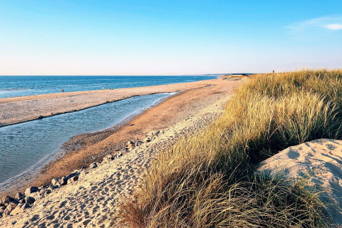 Zicht vanuit 7-persoons vakantiehuis in Hjørring, Denemarken, met strand, duinen en blauwe zee.