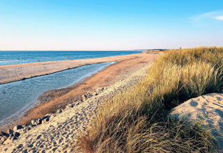 Vista dalla casa vacanze per 7 persone a Hjørring, Danimarca, con spiaggia di sabbia, dune e mare azzurro.