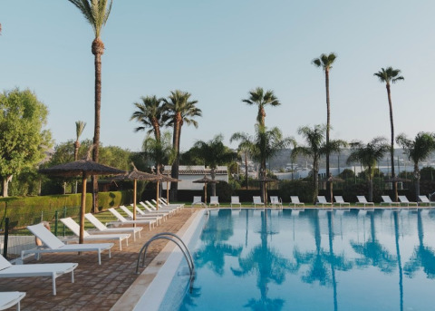 Groot buitenzwembad met ligstoelen en palmbomen bij vakantiepark Wecamp Jávea in Valencia, Spanje.