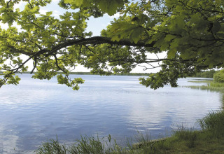 Vista di un lago tranquillo con alberi e rami verdi, scattata dal casale per 8 persone ad Ansager, Danimarca.