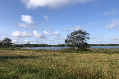 Vue sur le lac et la prairie près du gîte 8 personnes à Ansager, Danemark, sous ciel bleu nuageux.