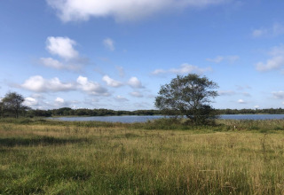 Vista del lago y pradera junto a la casa de vacaciones para 8 personas en Ansager, Dinamarca, bajo cielo azul.