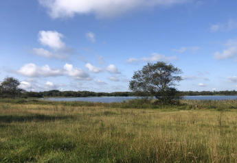Vista del lago y pradera junto a la casa de vacaciones para 8 personas en Ansager, Dinamarca, bajo cielo azul.