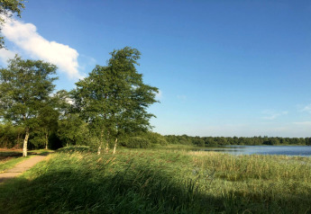 Photo de paysage d'une maison de vacances à Ansager, Danemark, avec lac, verdure et ciel bleu.