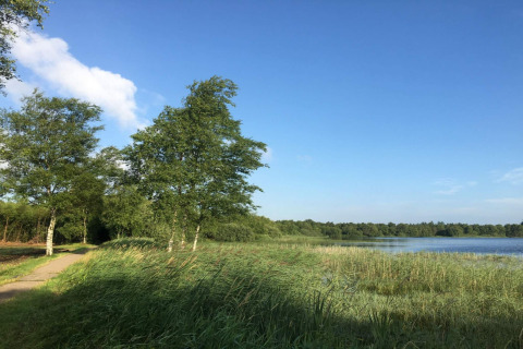 Landschaftsfoto am See bei einem Ferienhaus in Ansager, Dänemark, mit Bäumen und blauem Himmel.