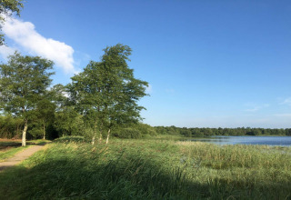 Photo de paysage d'une maison de vacances à Ansager, Danemark, avec lac, verdure et ciel bleu.