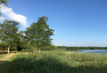 Foto natural desde una casa de vacaciones en Ansager, Dinamarca, con lago, vegetación y cielo azul.