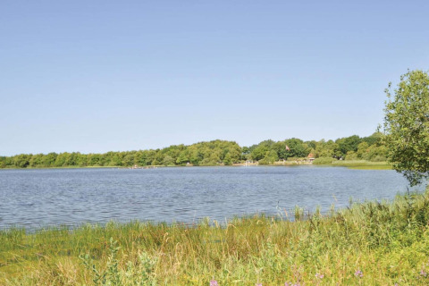 Zicht op een vredig meer met groen gras op de voorgrond en bomen in de achtergrond in Ansager.