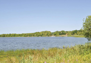 Zicht op een vredig meer met groen gras op de voorgrond en bomen in de achtergrond in Ansager.