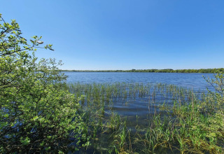 Blick auf einen See mit Schilf und Bäumen am 8-Personen-Ferienhaus in Ansager, Dänemark.