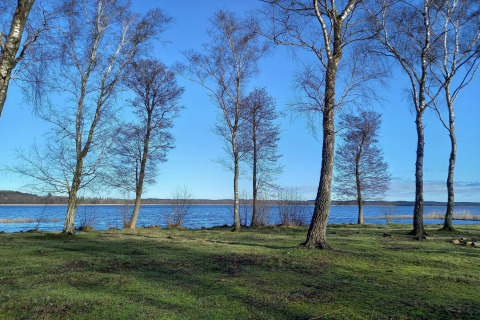 Uitzicht op een meer en kale bomen onder een blauwe lucht bij het 8-persoons vakantiehuis in Ebeltoft, Denemarken.