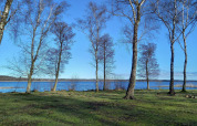 Blick auf See und Bäume unter blauem Himmel beim 8-Personen-Ferienhaus in Ebeltoft, Dänemark, im Sonnenschein.