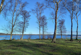 View of a lake and bare trees under a blue sky at the 8 person holiday home in Ebeltoft, Denmark.