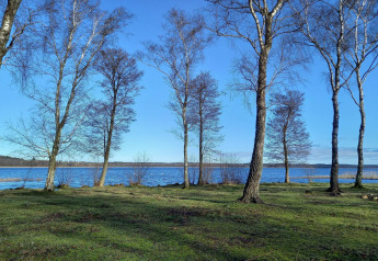 View of a lake and bare trees under a blue sky at the 8 person holiday home in Ebeltoft, Denmark.