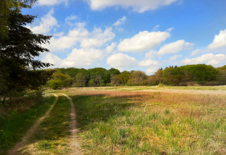 Chemin à travers prairie et arbres sous un ciel bleu dans une maison de vacances à Ebeltoft, Danemark.