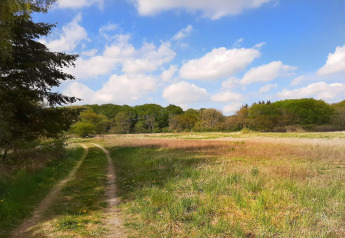 Pad door grasveld en bomen onder een blauwe lucht bij een vakantiehuis in Ebeltoft, Denemarken.
