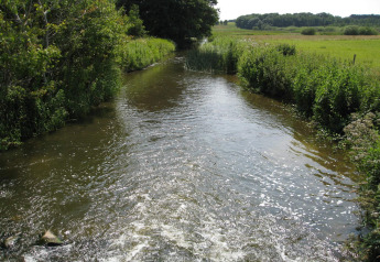 Heldere beek stroomt door groene weides bij een 8-persoons vakantiehuis in Ebeltoft, Denemarken.