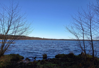 Blick auf einen ruhigen See bei Ebeltoft in Dänemark, mit kahlen Bäumen und Schwänen im Wasser.