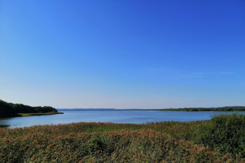 Uitzicht op meer en natuur vanaf 8-persoons vakantiehuis in Ebeltoft, Denemarken, onder een blauwe lucht.