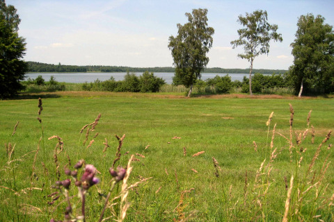 Vue sur une prairie verte avec arbres et lac depuis une maison de vacances à Ebeltoft, Danemark, l'été.