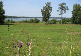 Uitzicht op een groene weide met bomen en een meer vanaf een vakantiehuis in Ebeltoft, Denemarken.
