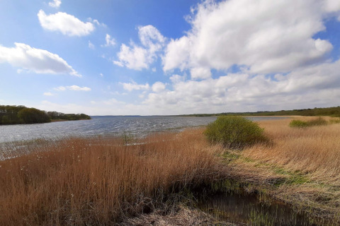 Vista sul lago e canneto sotto cielo azzurro dalla casa vacanze per 8 persone a Ebeltoft, Danimarca.