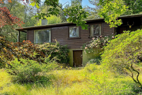 Knus 4-persoons vakantiehuis in Reksteren, Denemarken, omgeven door bomen en groen landschap.