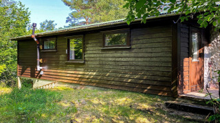 Vista exterior de una casa de vacaciones para 4 personas en Reksteren, rodeada de vegetación y árboles.