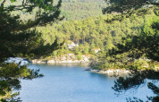 Vista su lago e foresta dalla casa vacanze per 4 persone a Reksteren, Danimarca, tra rami di alberi.