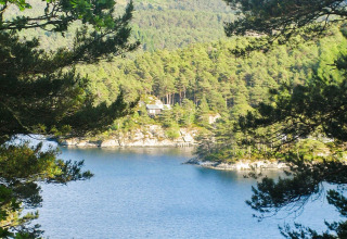 Vista de lago y bosque en la casa vacacional para 4 personas en Reksteren, Dinamarca, enmarcada por ramas.