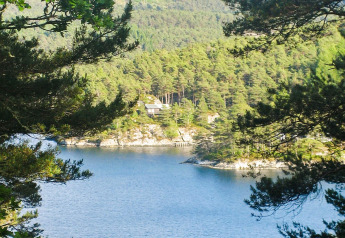 Uitzicht over meer en bos bij 4-persoons vakantiehuis in Reksteren, Denemarken, omlijst door boomtakken.