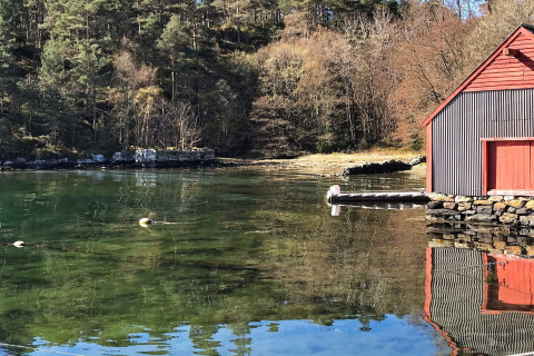 Rød hytte ved en rolig sø i skovene nær Reksteren, Danmark, med klart vand og rolig stemning.