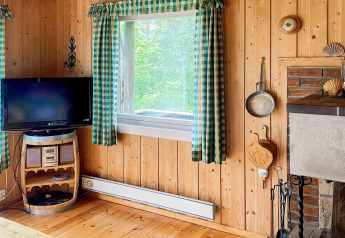 Soggiorno di casa vacanze a Reksteren, pareti in legno, camino, tende verdi e TV su una botte.