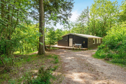 5-persoons vakantiehuis in Ans By, Denemarken, midden in het bos, omgeven door groene natuur.