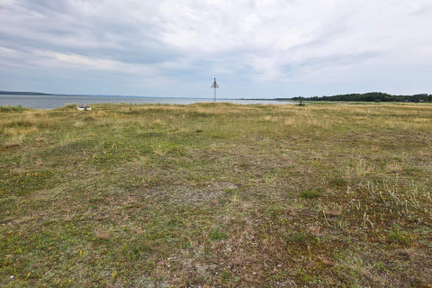 Vista de un campo abierto y herboso con vista al mar en Hadsund, Dinamarca, bajo cielo nublado.