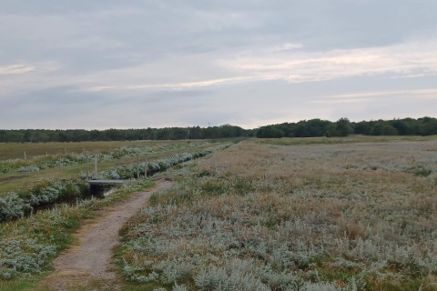 Chemin et petit pont dans la campagne près de Hadsund, Danemark, avec champs et forêt en arrière-plan.