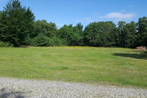 Groene grasweide met wilde bloemen aan het bos bij vakantiehuis voor 10 personen in Hadsund, Denemarken.