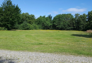 Grüne Wiese mit Wildblumen neben Waldrand, aufgenommen bei der 10-Personen-Ferienwohnung in Hadsund, Dänemark.
